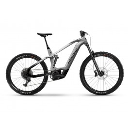 Haibike AllMtn CF 9 i750Wh 12-r. NX Eagle grey/blk 2022