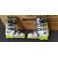 Salomon X Pro 110 acide green/white/black MP 27 vykoupené