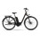 Raymon CityRay E 4.0 SE 28", Low, Brown