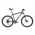 Nano M-type  spec. Author Spirit 2012