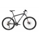 Nano M-type 340 2012  spec. Author Instinct
